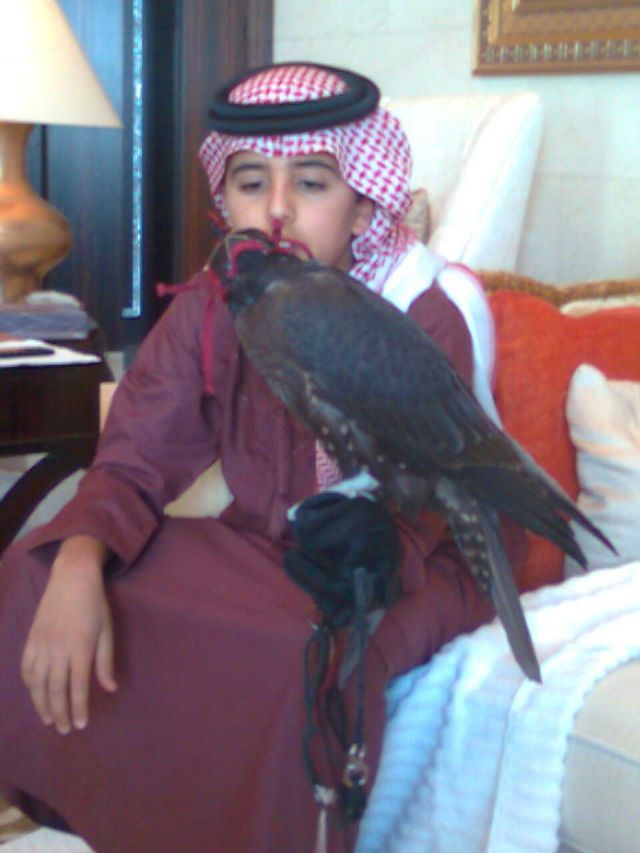 الامير سعود بن عبد العزيز يوم لجمعة 1 ربيع الأول 1432 / 4 فبراير 2011 مع طيره معزز
