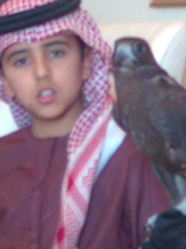 الامير سعود بن عبد العزيز يوم لجمعة 1 ربيع الأول 1432 / 4 فبراير 2011 مع طيره معزز
