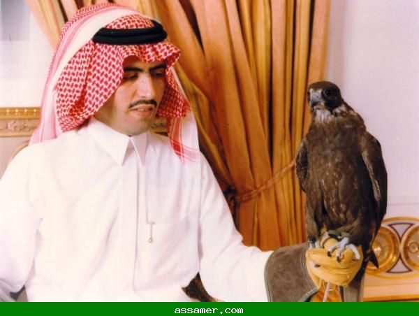 الأمير عبد العزيز بن سعود